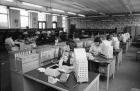 Ringing success of 100 years