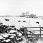 Here's A First Taste Of Winter