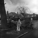 In The Wake Of A Gale