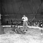 Circus Markus