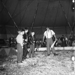 Circus Markus