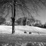 For Some The Snow Is Wonderful (1 of 5)