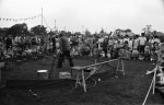 A Family Sunshine Show Breaks All The Records
