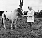 Mandy The Mystery Pony Is Claimed