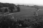 How Green Is Our Valley .. Once More