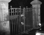 Park Is A Gate-Crasher's Dream!