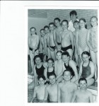 Long distance Barlick swimmers