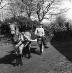 Keeping Fit In Retirement