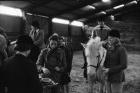 Princess Anne Visit 1977