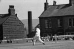 Cricket Festival Thrills Crowd