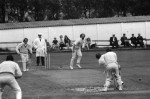 Century Stand Shows Read The Way