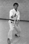 Karate VIP In Town