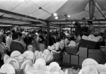 Crowds Still Flock To Annual Pot Fair (1 of 3)